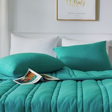 A Plus半超細纖維薄被+枕頭套組