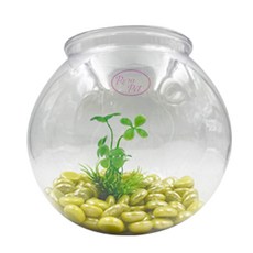 Rora Pet Beads Bokjori 魚缸水生植物隨機出貨, 芥末