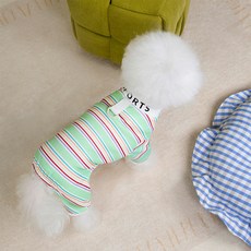 아티펫 반려동물 얇고 통기성 컬러풀 견인 올인원, 그린, 1개