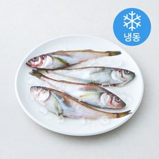 동해에서 갓잡아 급냉한 햇 도루묵 4마리 (냉동), 1개, 300g