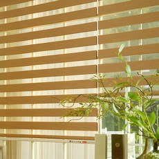 nuguna 우드룩 콤비 블라인드