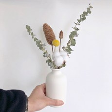 GAPANG 乾花+花瓶 DRYD010, 6 混合