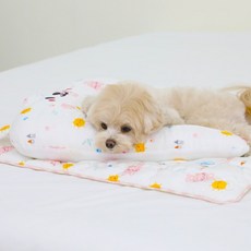 리토가토 반려동물 인견 허그 쿨 필로우, 해토끼