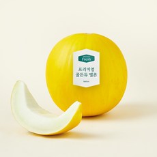 온브릭스 프리미엄 골든듀 멜론, 1개, 2kg