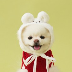 펫본 강아지 펫모자, 1개