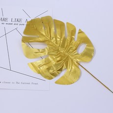 Store91 尤加利葉 拍攝 道具 P, 混合顏色, 1個