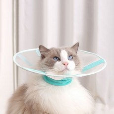 PASTEL PET 寵物透氣網眼頸圈, 薄荷綠, 1個