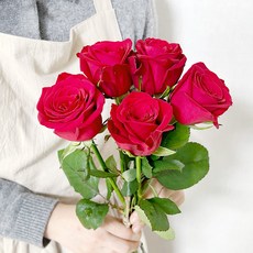 코코도르팜 생화 장미 5대, 빨강