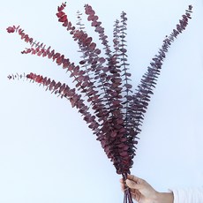 GAPANG 乾花 DRYI040, 03紅色