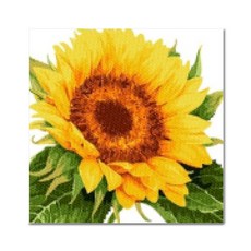 ADICO DIY 珠寶十字繡看著你 25 x 25 厘米 BE01, 混色, 1個