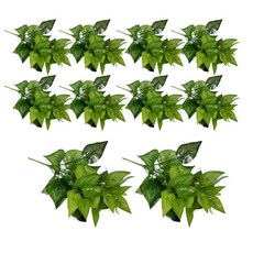 abm 人造黃金葛葉叢, 單一顏色