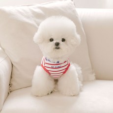 PETSLAND 狗狗快樂瓢蟲T恤, 紅色, 1個