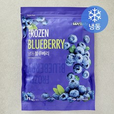 웰루츠 블루베리 (냉동), 1개, 1kg