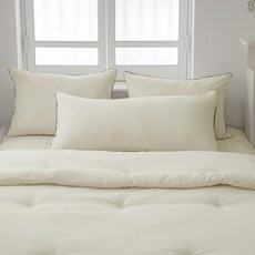 지베딩 알러지케어 M2 진드기방지 먼지없는 바디필로우, 베이지