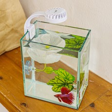 Midori Light Beta 房屋套組, 單一顏色