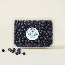 이광호 농부의 무농약 블루베리 대과, 500g, 1개