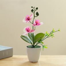 소울리치 러블리한 호접란 조화 세트, 스타일2, 1세트