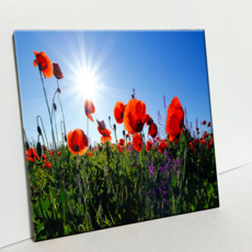 HTP 磁磚 羅馬尼亞盛開的花 C1910, 1個