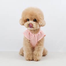 Grooming Dog 狗狗馬卡龍透視針織衫, 粉紅色, 1個