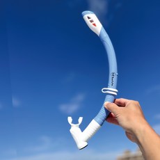 ButterFly Fish 蝴蝶魚 乾濕兩用呼吸管 SN2501 浮潛/自由潛水 成人兒童適用, 藍色, 均碼