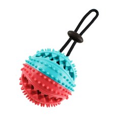 아로이 강아지 장난감 0021 10 x 7.5 cm, 레드민트, 1개