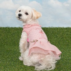 강아지 마제 원피스 OP7849, 인디안 핑크, 1개