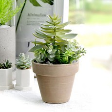 Garden in the City 和諧自然多肉飾品6880005, 混色, 1個