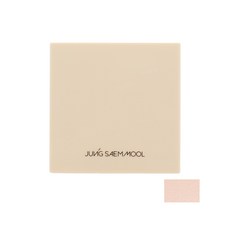 JUNG SAEM MOOL 鄭瑄茉 裸色氣墊粉餅 11g, 清透亮色, 1個