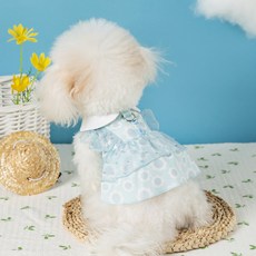 Puppy Dream 狗狗向日葵領康康蕾絲連身裙 10043, 藍色, 1個