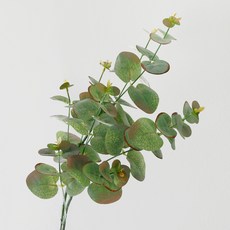 BLOOMING&ME 自然水洗尤加利人造花, 單一顏色, 1個