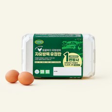자연애찬 동물복지 인증 자유방목 유정란 1번 780g, 15구, 1개