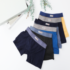 男童簡約四角褲6件組