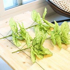 室內人造花葉子人造植物裝飾彩葉芋30公分, 綠色, 4個