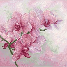 十字繡套組 Luca S Graceful Orchids B7009, 1套, 混合色