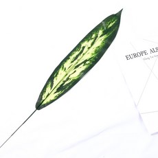 Store91 尤加利葉拍攝道具 M, 混色, 1個