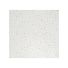 包裝領導 Deli Norouge 包裝紙綠色 30 x 30cm, 1件, 1000件