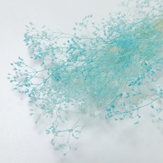 永生花迷你滿天星 2入, 天空藍