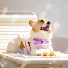 PETRIUM 狗狗玩水救生衣, 1個, 象牙白 + 紫色