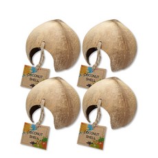 Aqua Tech 椰子小動物躲藏處, 混合顏色, 4個