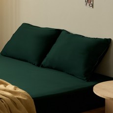 Topbedding Pro 防水枕頭套