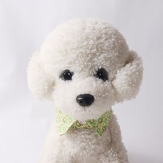 Puppy Dream 寵物水果領巾 10023, 奇異果, 1個