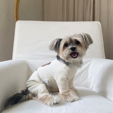 Bonjour Toutou 寵物吉拉朵 Hi bear 連身衣, 1個, 奶油色