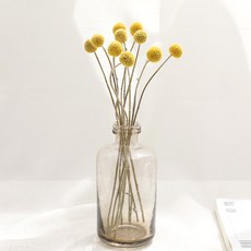 GAPANG 乾花 DRYJ009, 04黃色