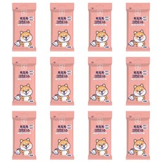 Beurideoraeb 寵物專用 咚咚咚 腳掌屁股清潔濕紙巾, 12個, 30入