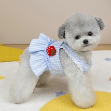 PASTEL PET 狗狗草莓蕾絲連身裙, 藍色, 1個