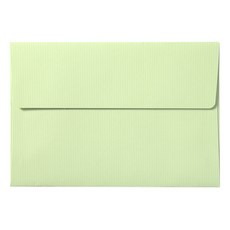 2Youngdesign 橫式明信片信封組 隨機出貨, 100入, 綠色