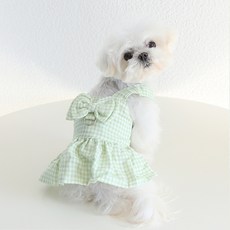 Chilsi 寵物格紋蝴蝶結洋裝, 哈密瓜色