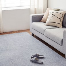 HANIL CARPET&HOME 四季可水洗客廳地毯