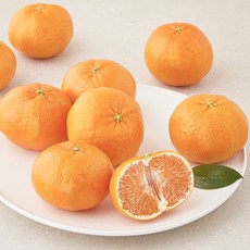 프레시픽 레드향, 1.5kg(소과, 8~10입), 1팩