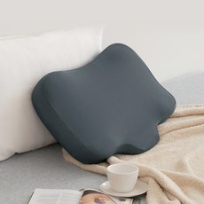 프로젝트슬립 동안베개, 그레이, 1개